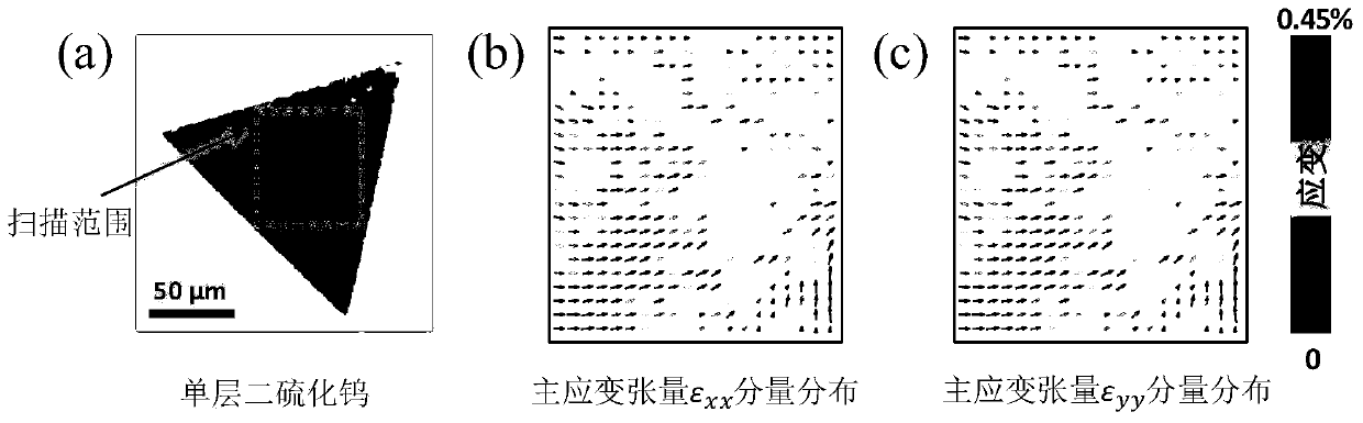 A device and method for measuring strain tensor in two-dimensional materials based on optical triple frequency