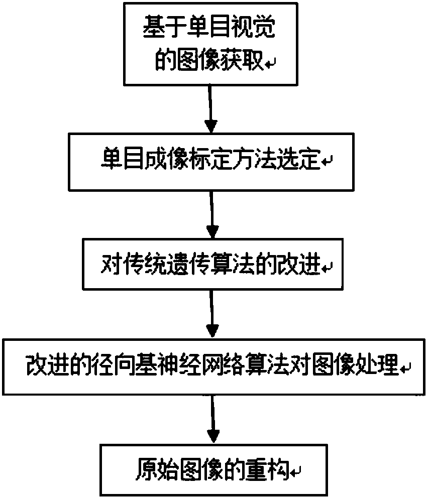 Monocular visual pattern processing method