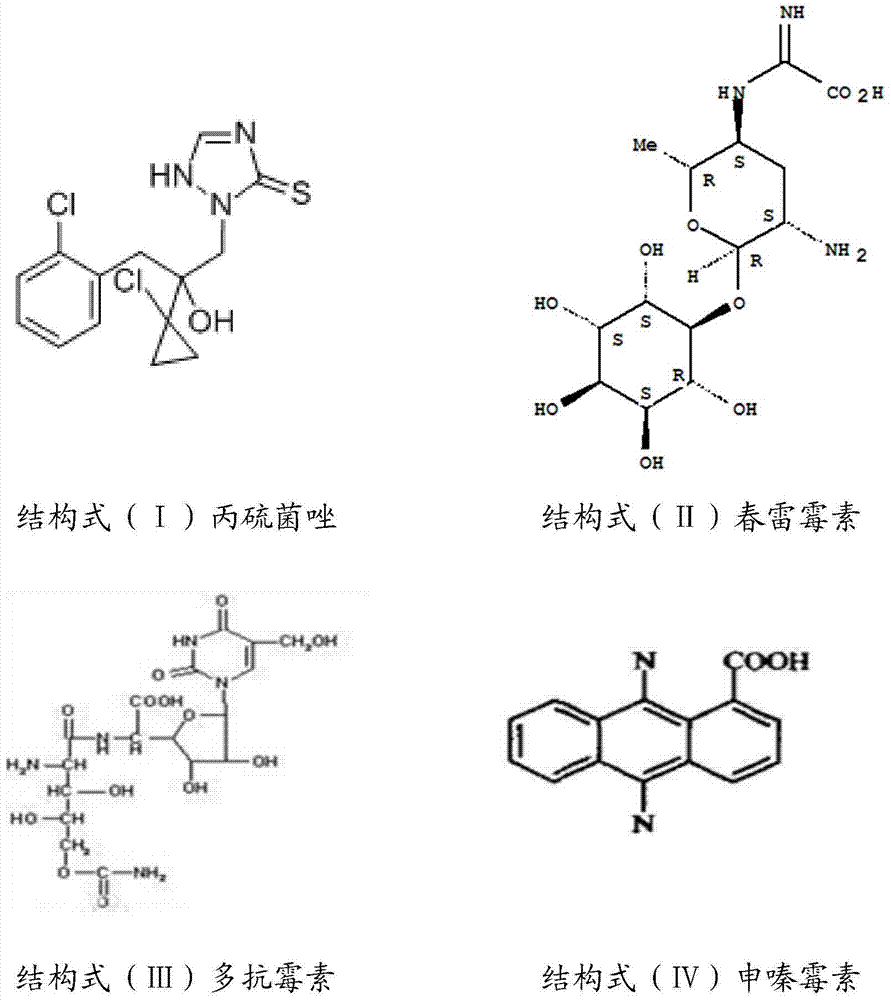 Bactericidal composition and application thereof