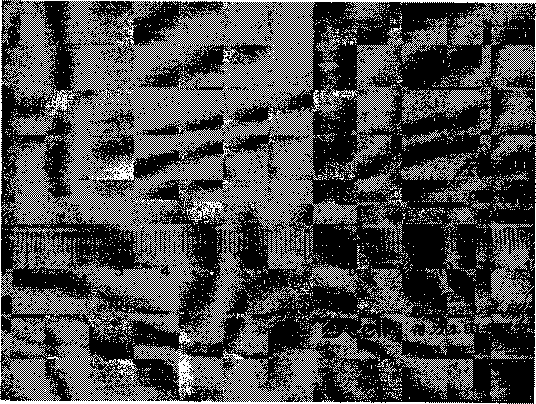 Antibacterial nano fiber material and preparation method thereof