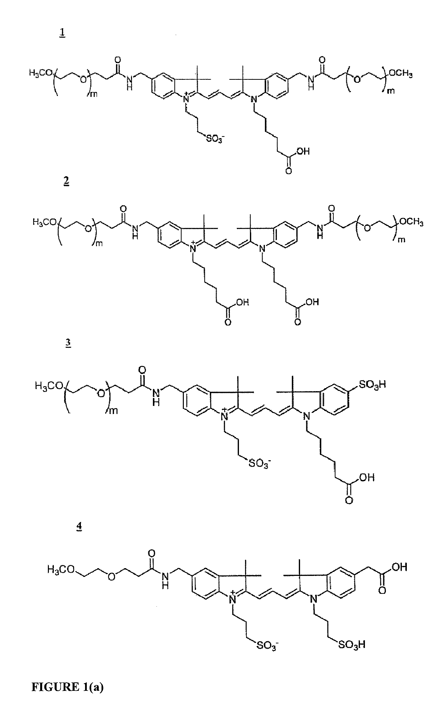 Molecular Adaptors for Dye Conjugates