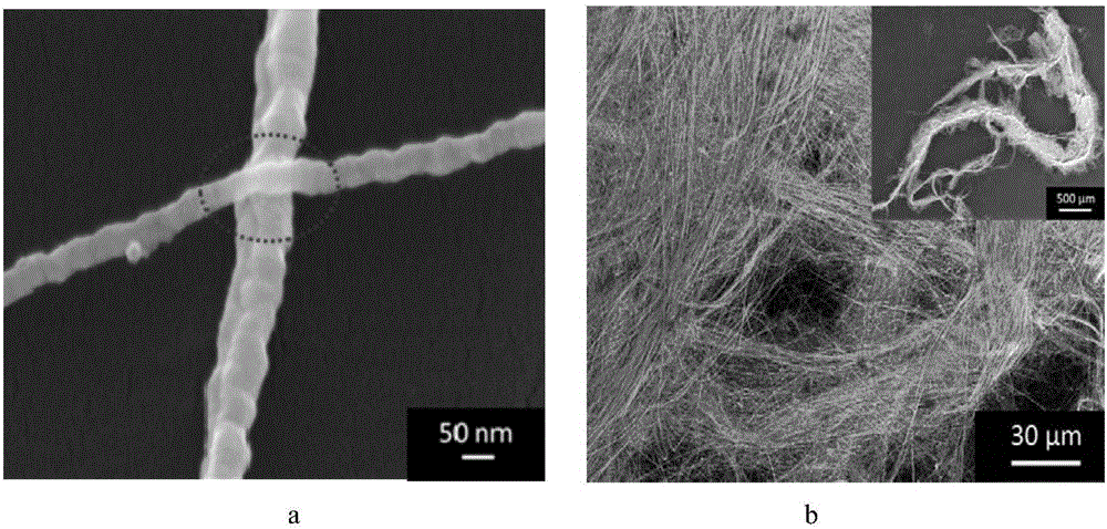 Flexible transparent electrode and preparation method and application thereof