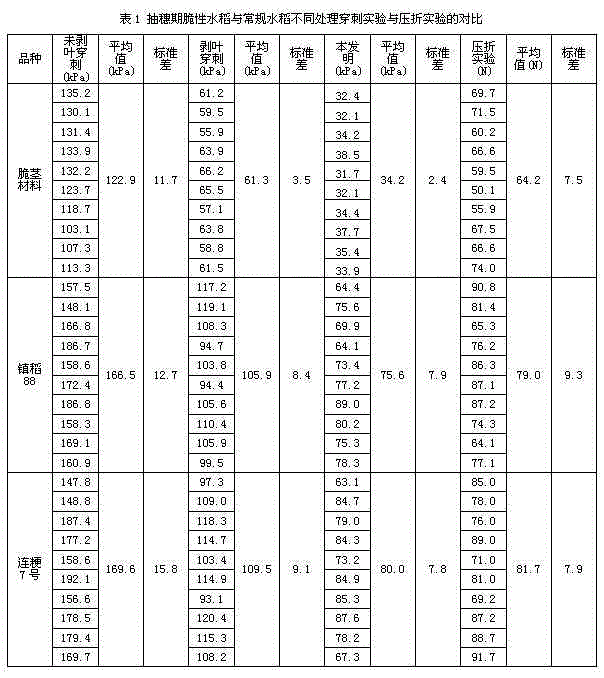 Quantitative screening method for embrittling special rice