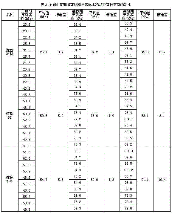 Quantitative screening method for embrittling special rice