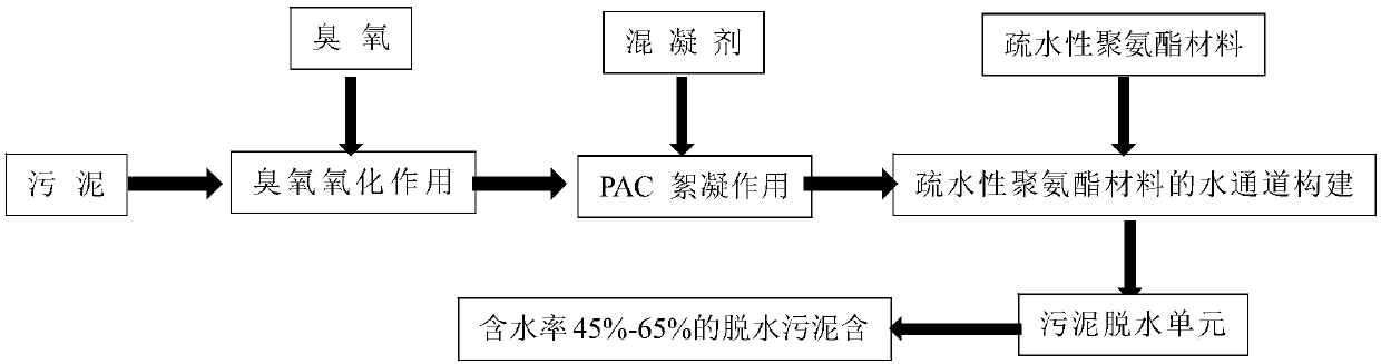 Method for improving sludge dewatering performance through ozone/coagulant/hydrophobic polyurethane