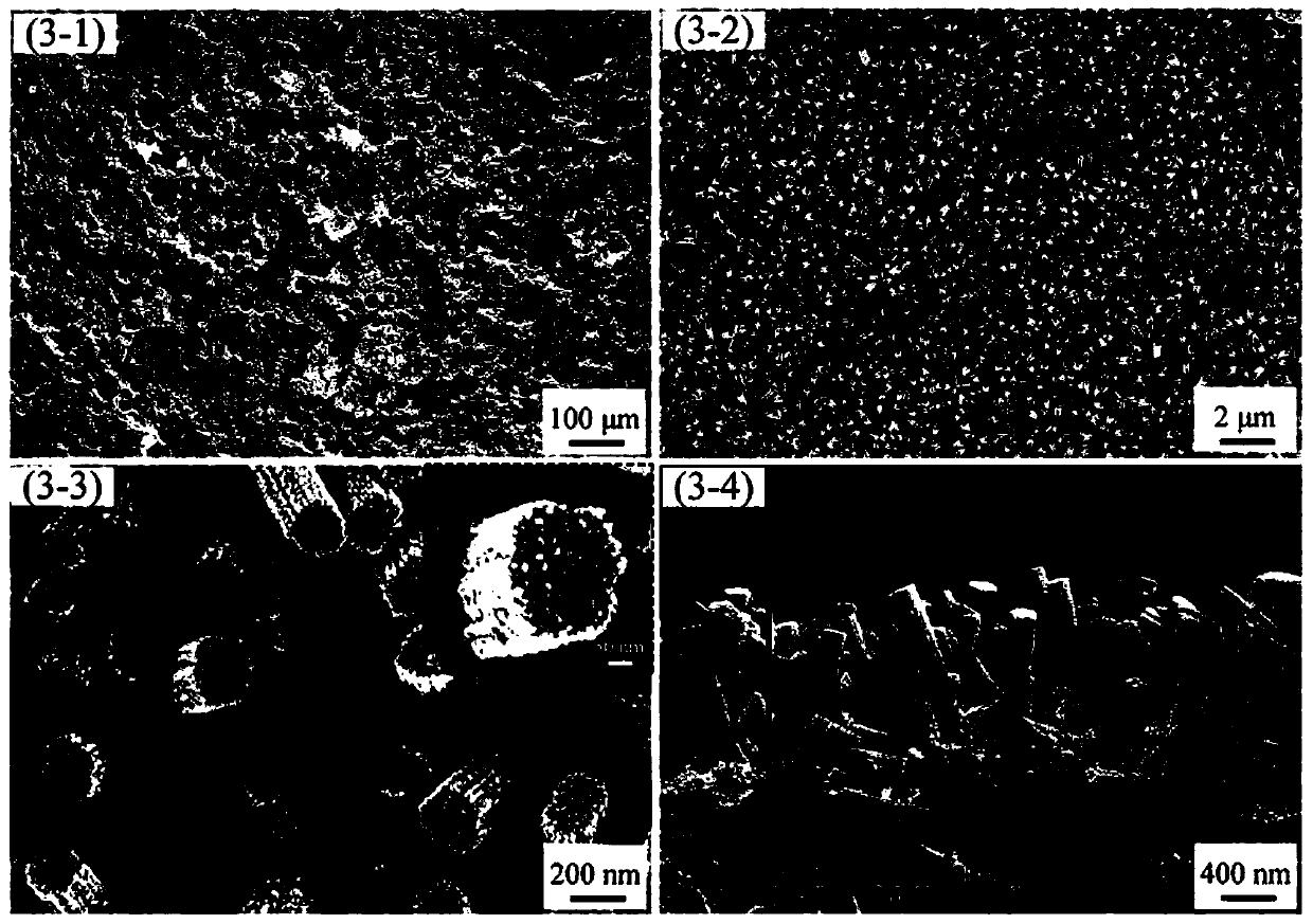 Room temperature NO2 sensor based on in-situ growth nano In2O3 on surface of non-metal mineral electrode substrate and preparation method