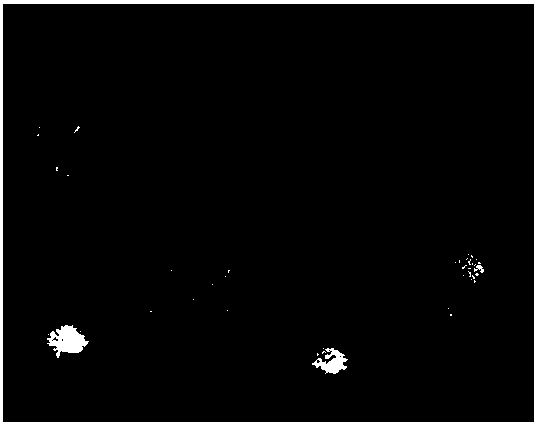 Preparation method and application of inorganic oxide and shape memory epoxy resin nanometer composite column array