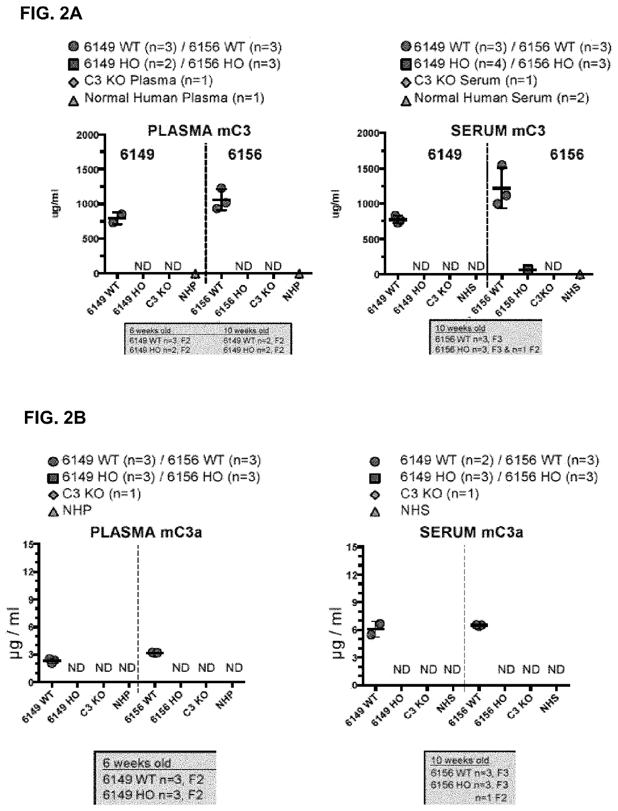 Humanized model of kidney and liver disorders