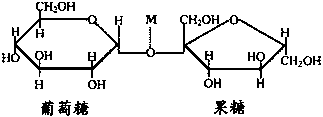 Fertilizer dedicated for litchis, and production method thereof