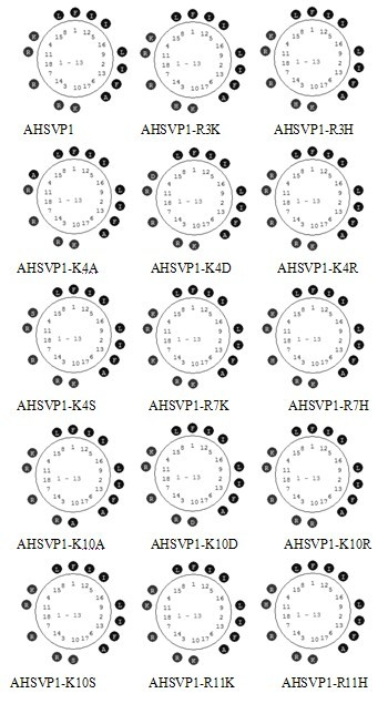 Anti-herpes simplex virus (HSV) active polypeptide of Tibetan Pi scorpion and application thereof