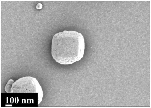 Photocatalyst and preparation method and application thereof