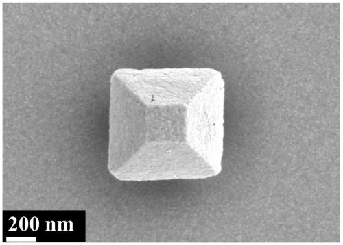 Photocatalyst and preparation method and application thereof