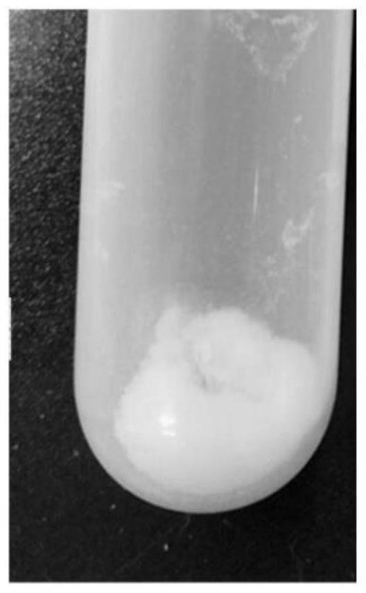 Method for nanocrystallization of small-molecule sheep placenta extract