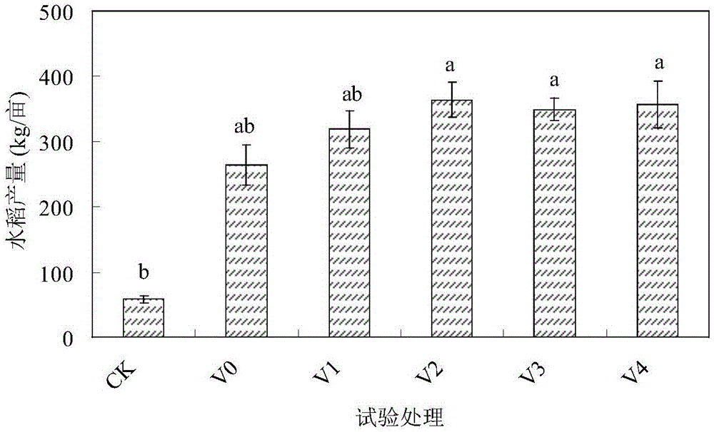 Special rice fertilizer with both soil improvement and fertilizer efficiency functions for coastal saline soil and preparation method and application of special rice fertilizer