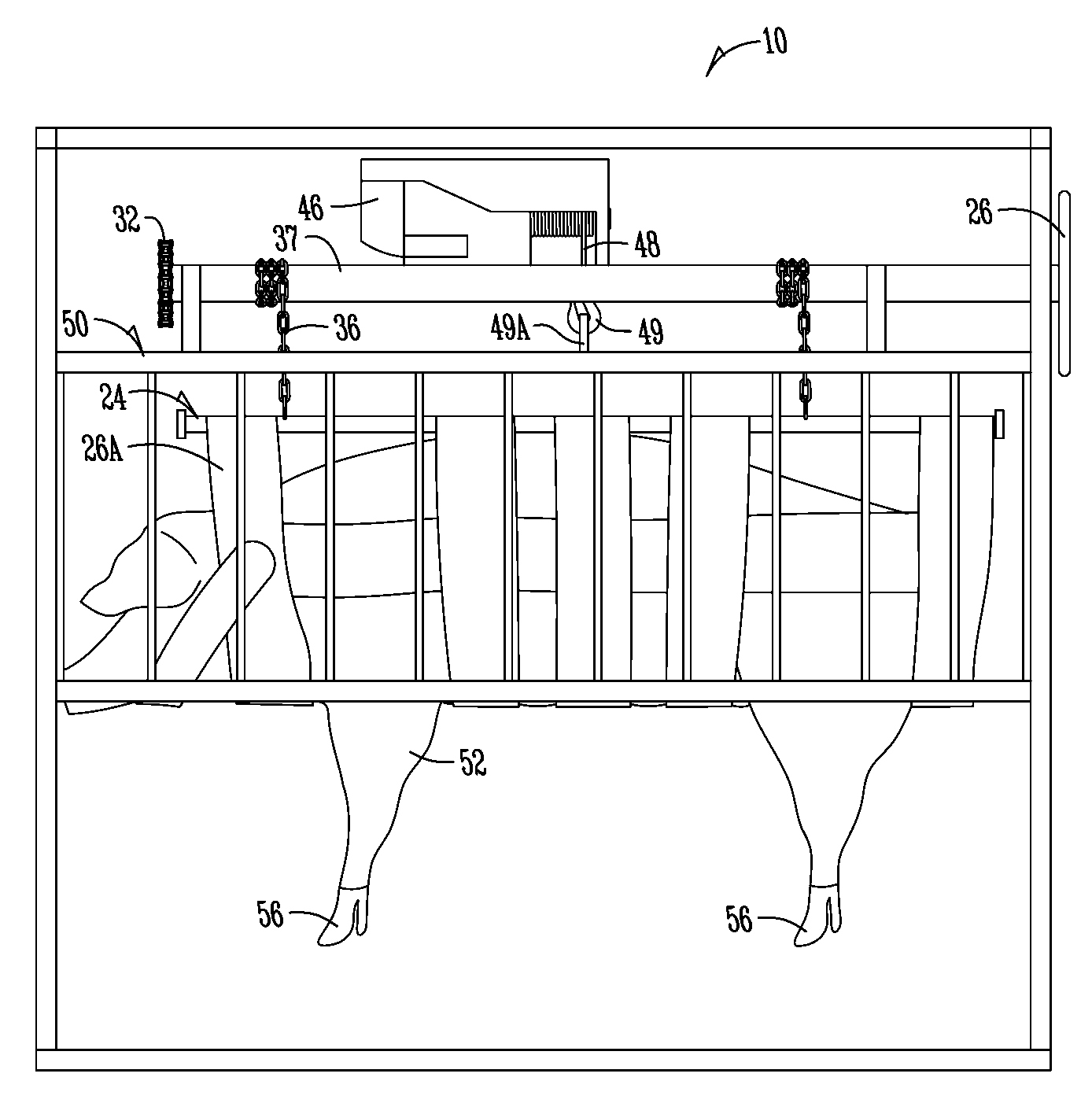 Sow chute and hoist