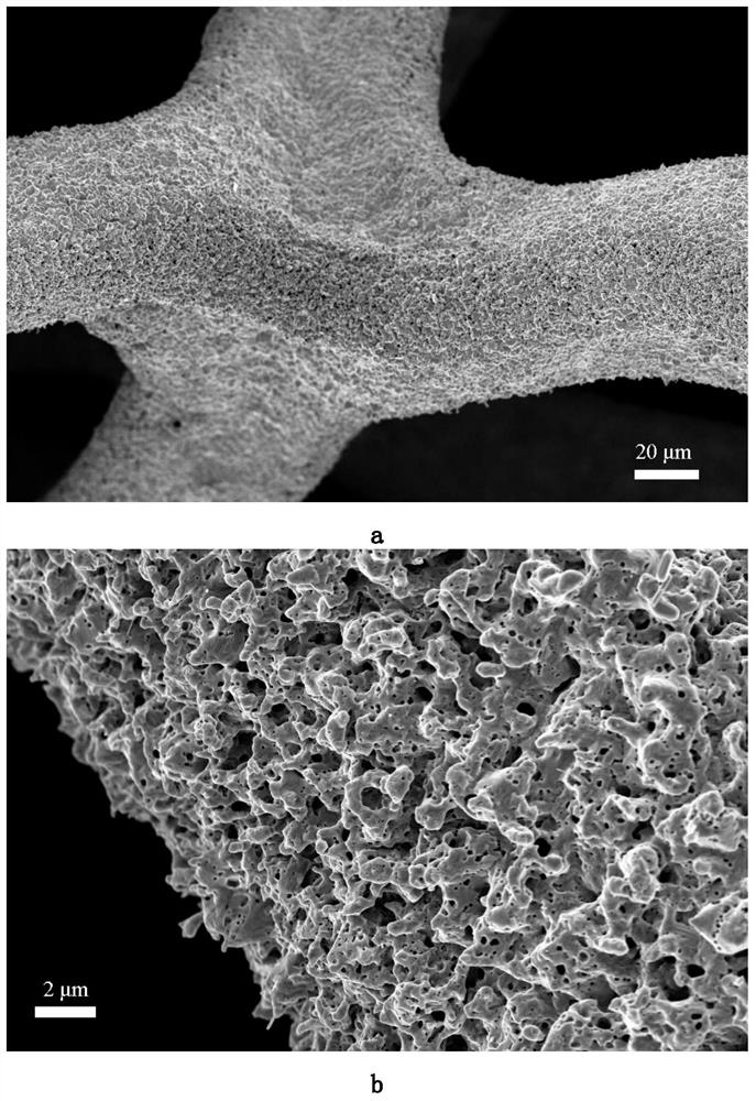 Self-supporting nitrogen-doped metal catalyst and preparation method thereof