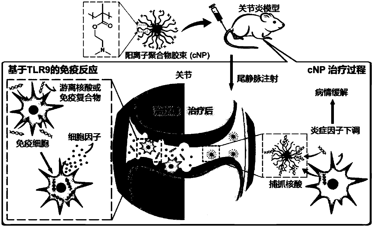 Polymer nanoparticles capable of treating rheumatoid arthritis