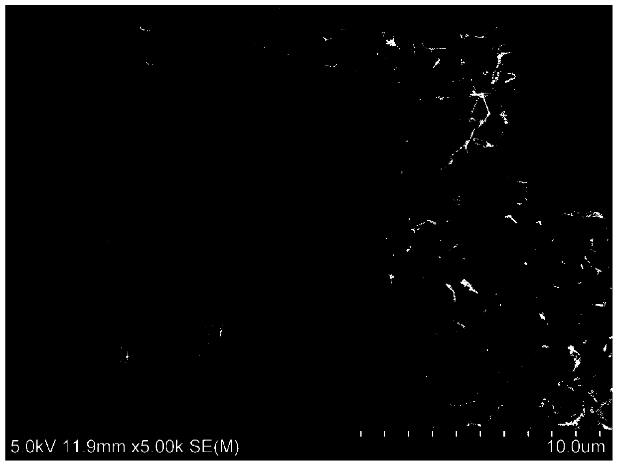 N, S co-doped bagasse nanosheet-shaped mesoporous structure biomass charcoal and preparation method thereof