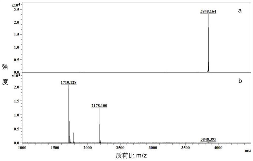 A method for enrichment of sumoylated peptides based on de-sumoylase and sax