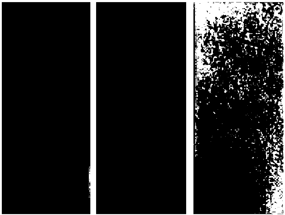 Developing repairing additive for faded cultural relic and use method thereof