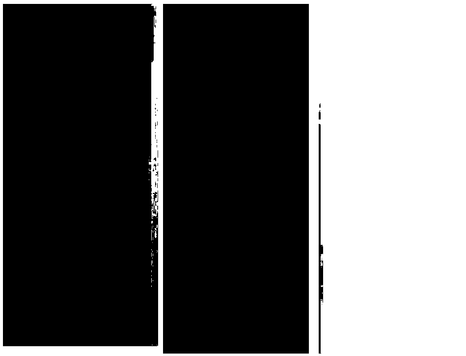 Developing repairing additive for faded cultural relic and use method thereof