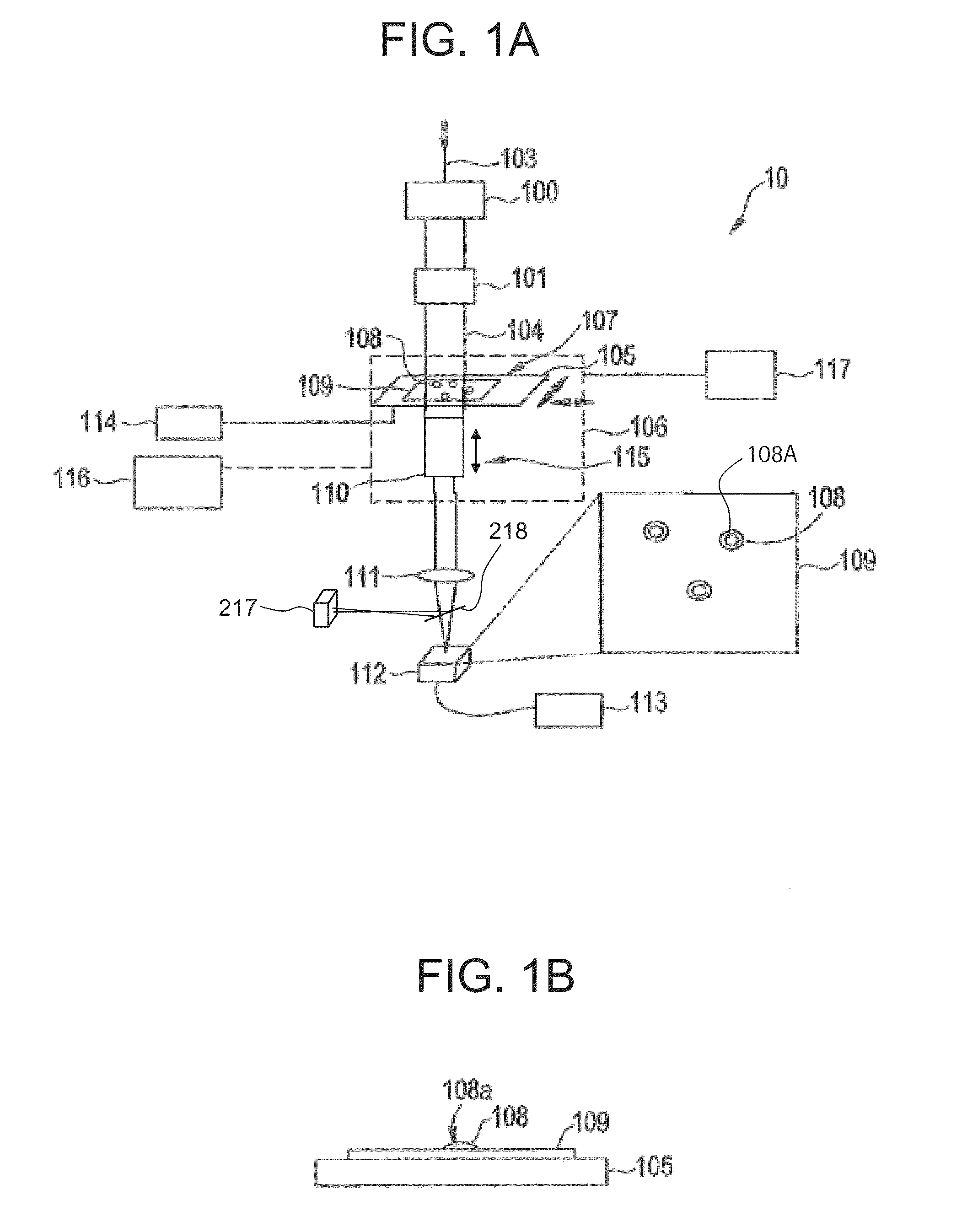 Holographic fluctuation microscopy apparatus and method for determining mobility of particle and/or cell dispersions