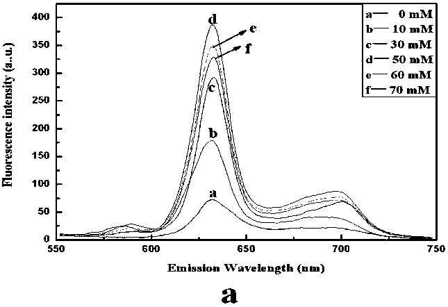 Method for testing Pb2+ concentration by using DNA sensor based on G-quadruplex