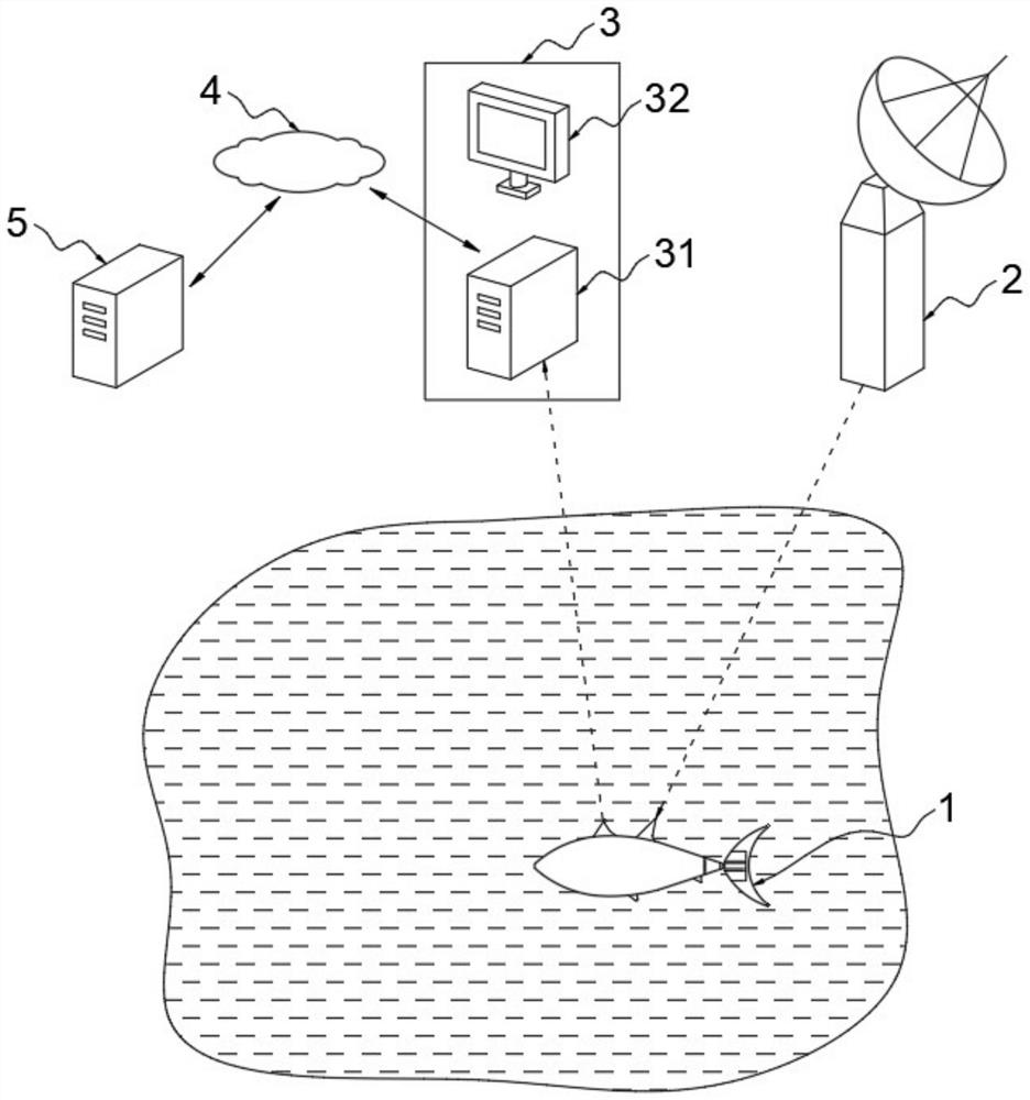 Full-coverage type reservoir water area bionic fish detection system based on multi-beam sonar