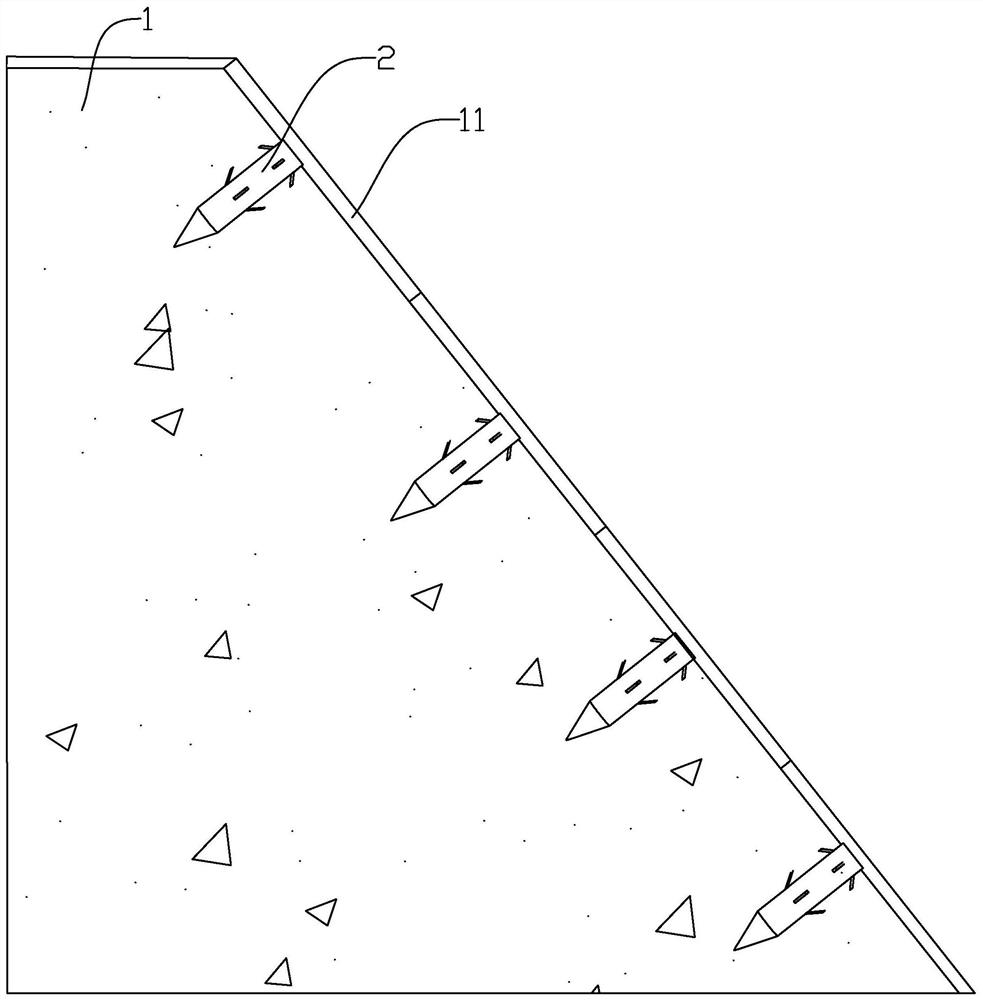 Water conservancy project slope protection