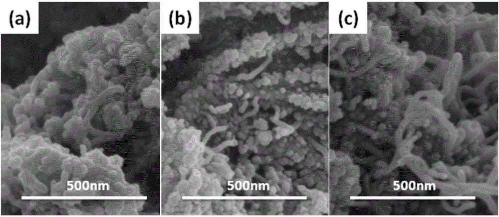 3D composite having CNTs (carbon nanotubes) growing on Ti3C2 in situ and preparation method of 3D composite