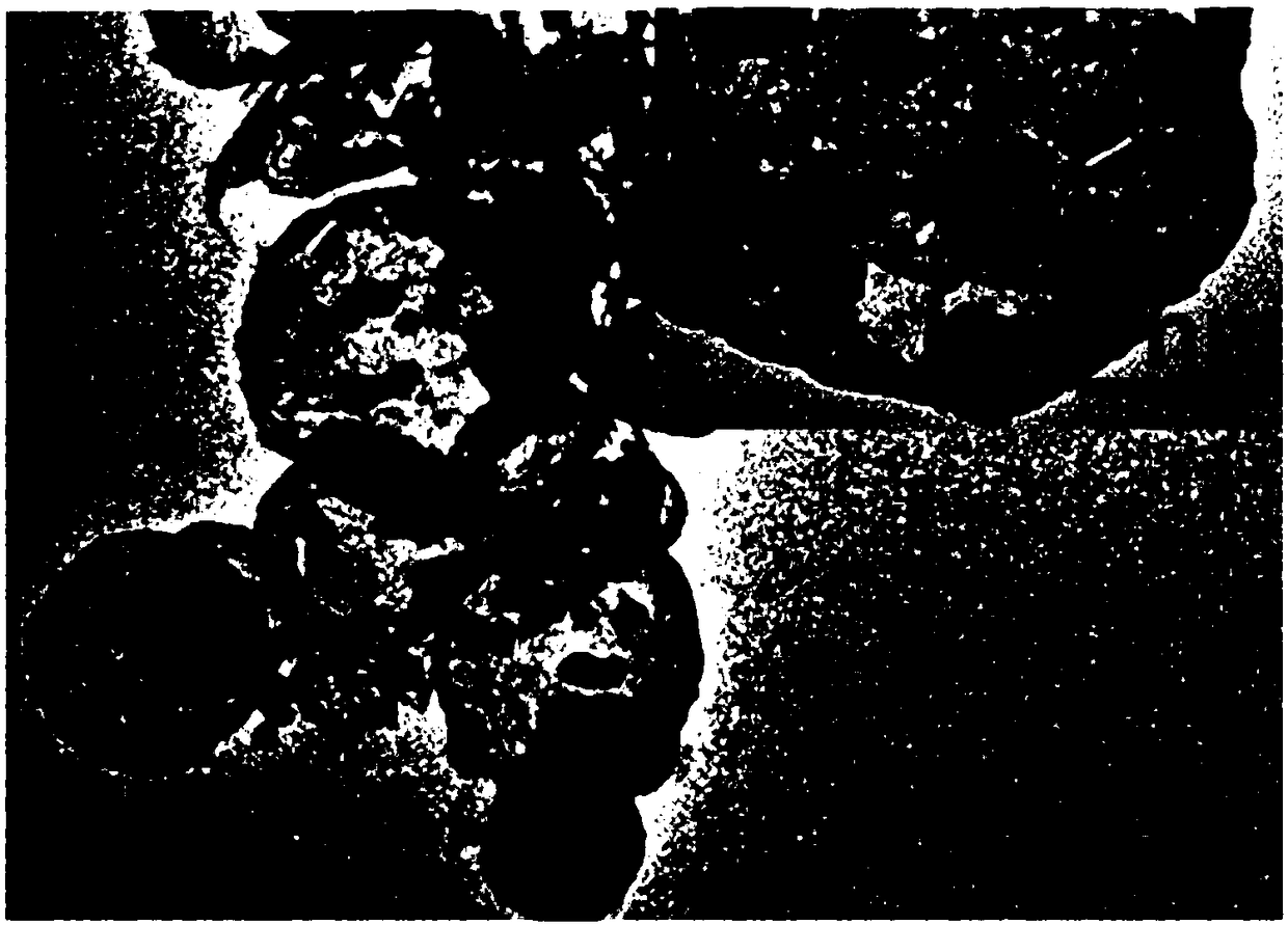 Cobalt tetroxide/tantalum pentoxide nano-heterostructure hollow spheres, preparation method and application thereof