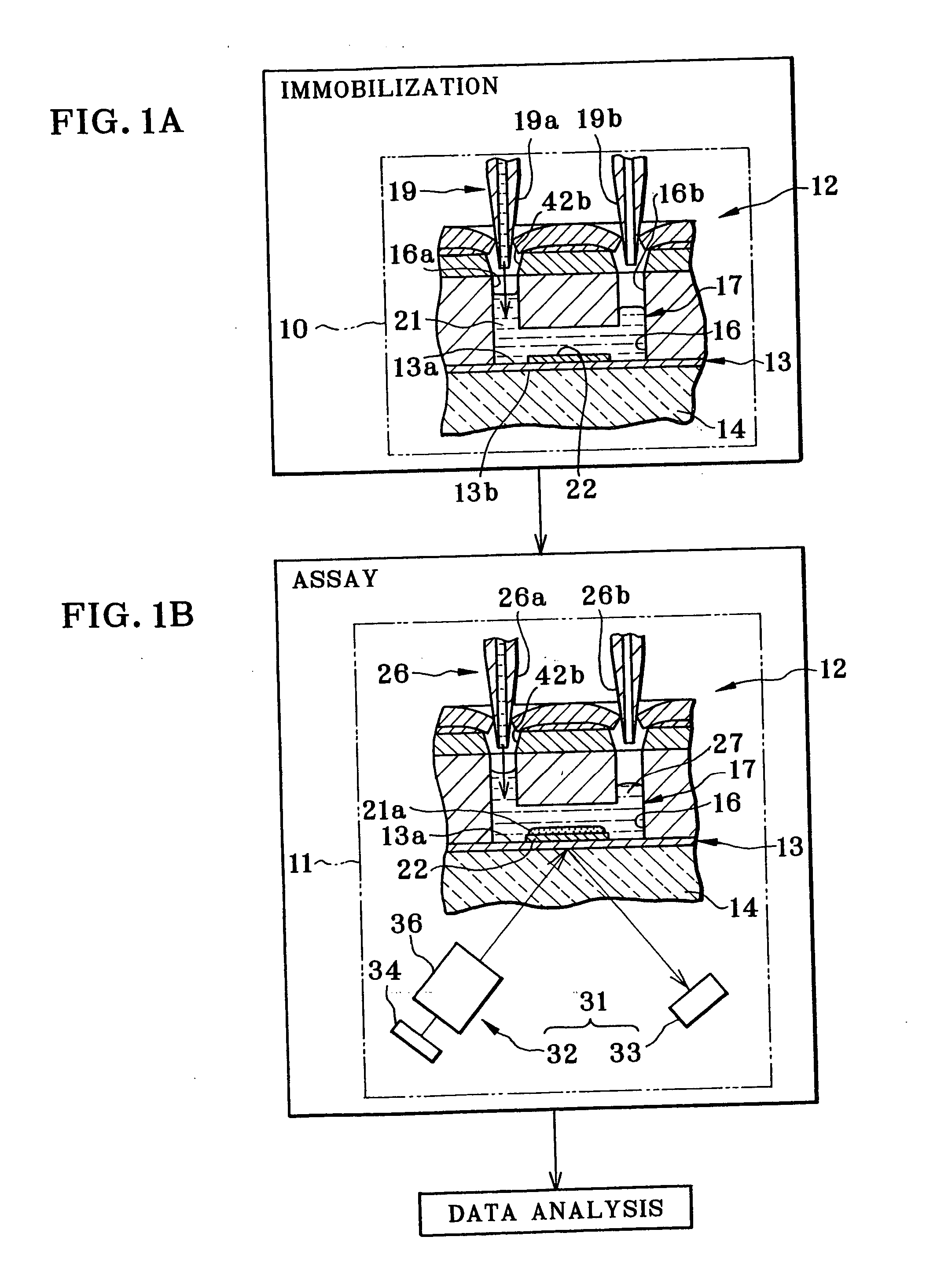 Apparatus for assay in utilizing attenuated total reflection