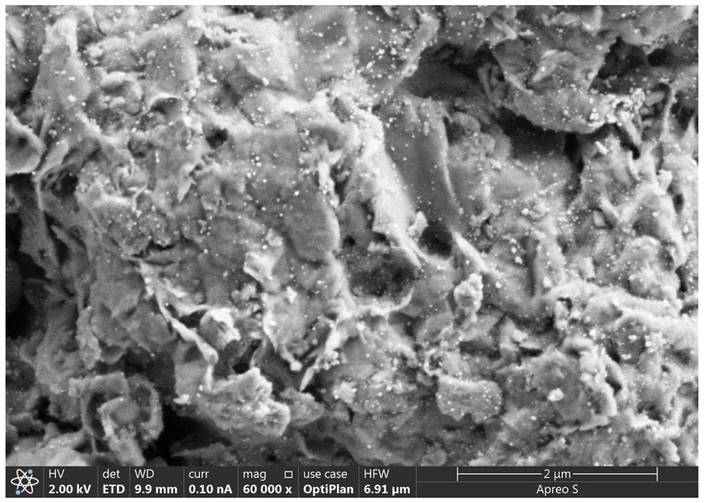 Organic modified silver-loaded montmorillonite/polyaniline nano-composite antibacterial agent