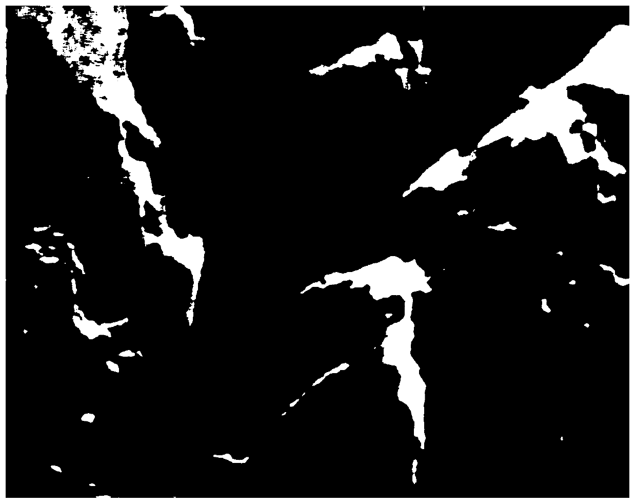 A Multi-angle SAR Image Fusion Method Based on Visibility Classification