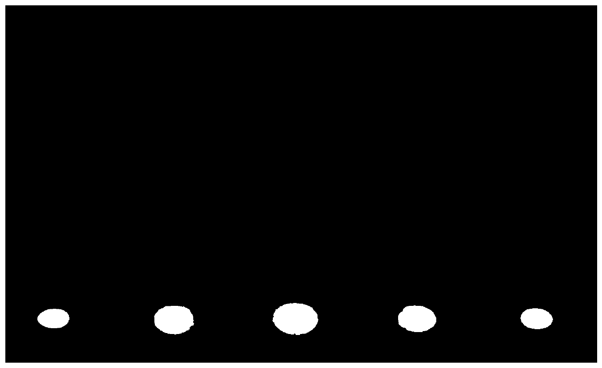 A kind of gel preparation quality detection method