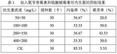 Method for reducing explant pollution in tea tree tissue culture process