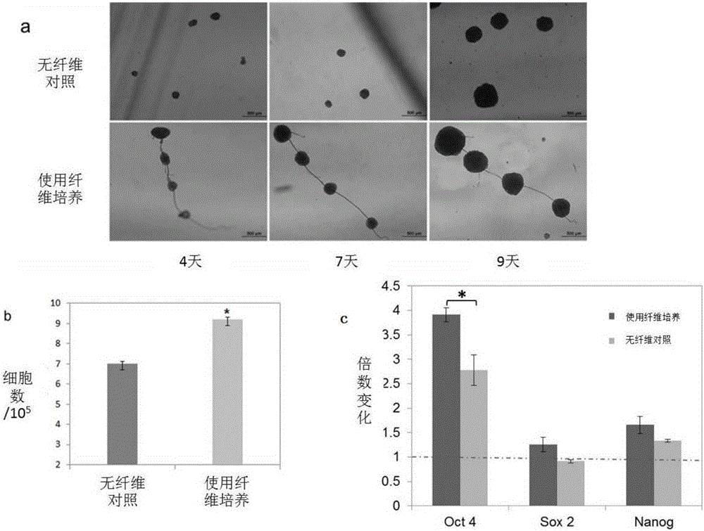 Selective massive purification amplification method of stem cells