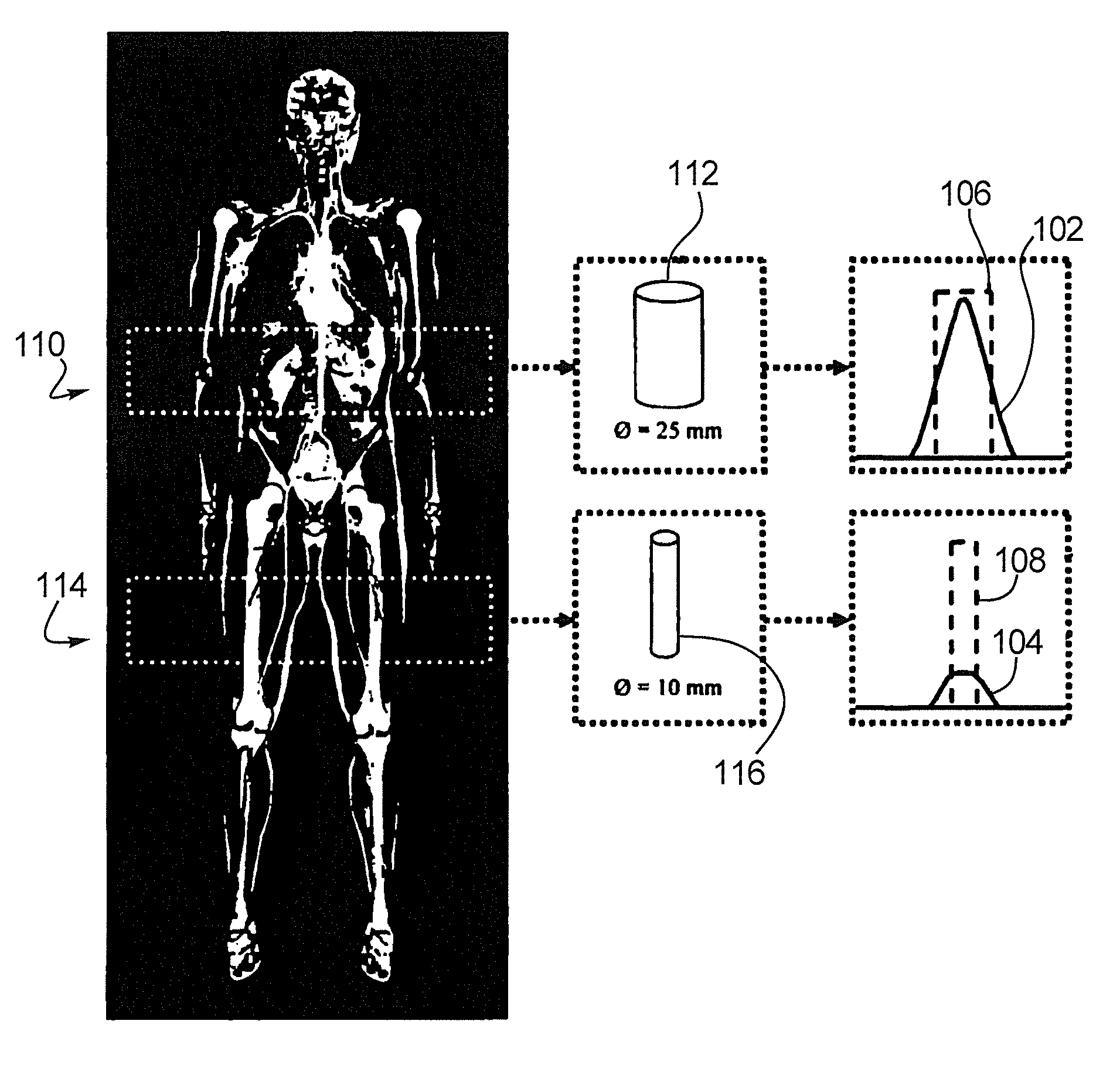 Method and apparatus for measuring activity of a tracer