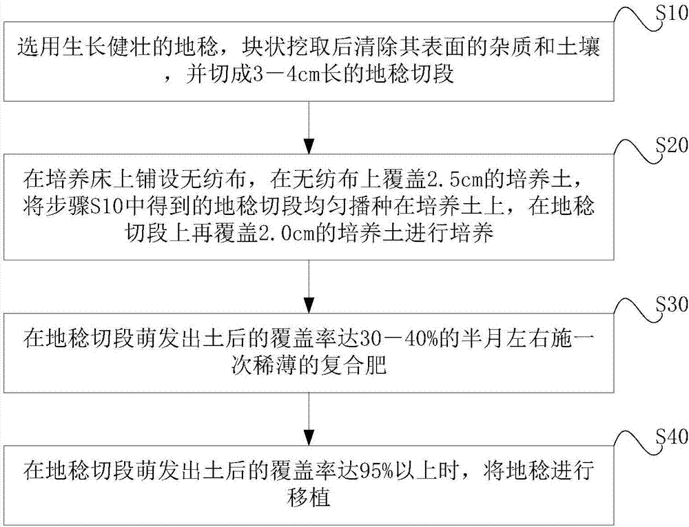 Cultivation method of Melastoma dodecandrum turf