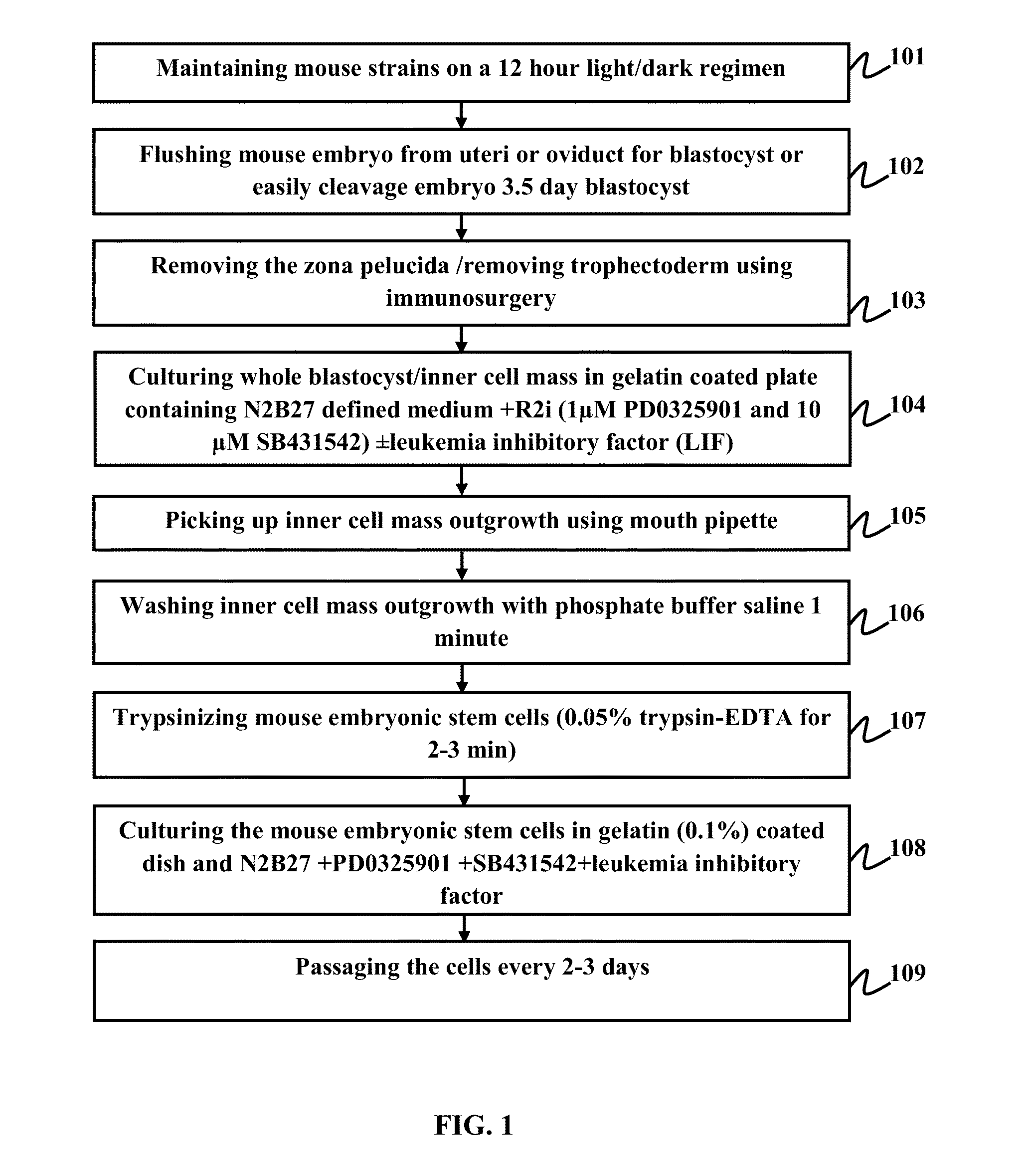 Method for derivation and long-term establishment of ground state pluripotent embryonic stem cells