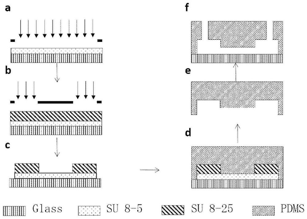 Device and method for measuring single-cell cytoplasmic viscosity