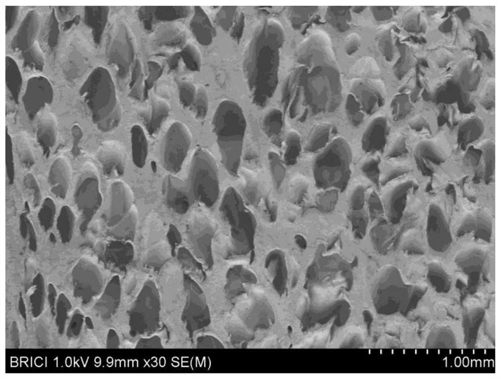 Composition for preparing polypropylene plastic-wood composite material, composite material prepared from composition and application of composite material