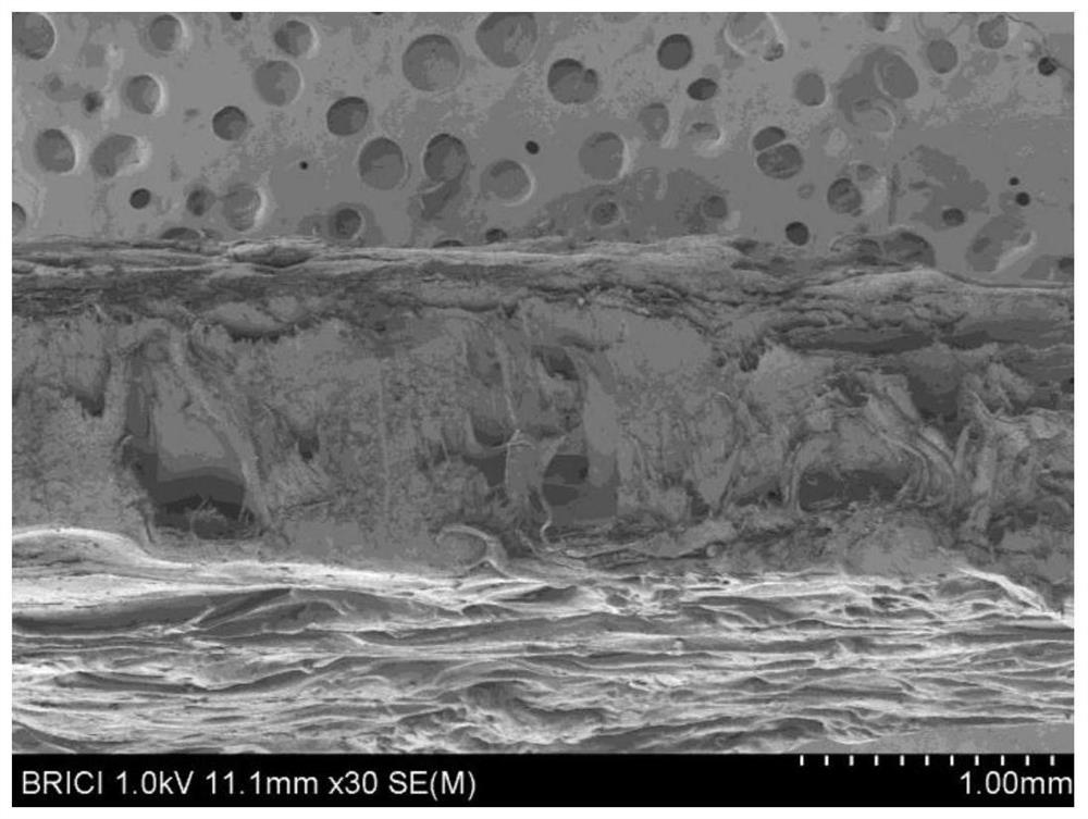 Composition for preparing polypropylene plastic-wood composite material, composite material prepared from composition and application of composite material