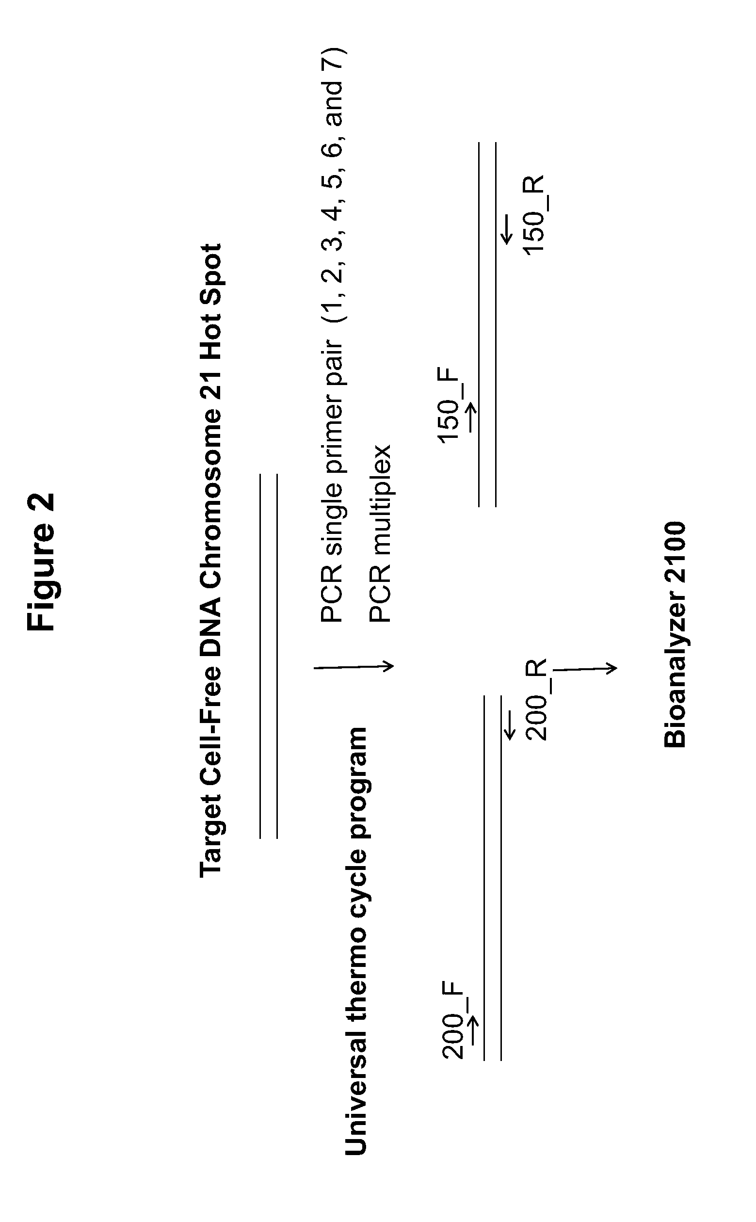 Methods of fetal abnormality detection