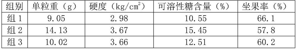 Sweet cherry orchard water and fertilizer integrated application technology