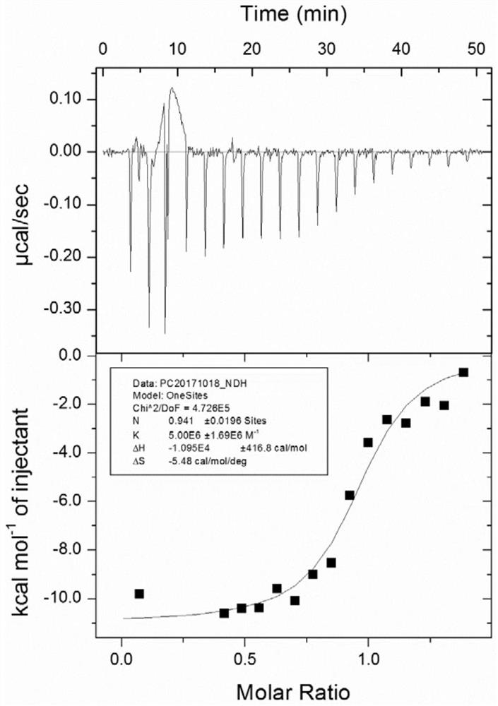 Tripeptide inhibitor for adenomatous polyposis coli/APC-stimulated guanine nucleotide exchange factor (APC/Asef) interaction and application thereof