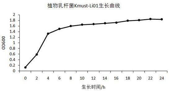 Lactobacillus plantarum, preparation method therefor and application of lactobacillus plantarum