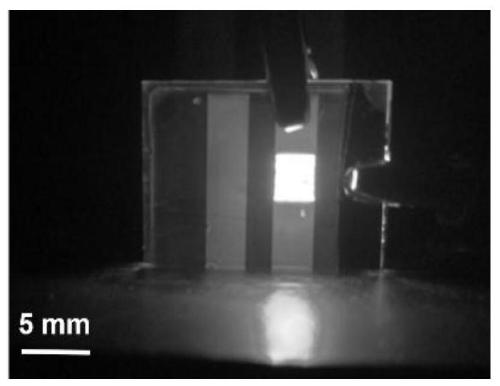 Ligand regulation and control method of ABXnY3-n perovskite nanoparticles based on room temperature method and application