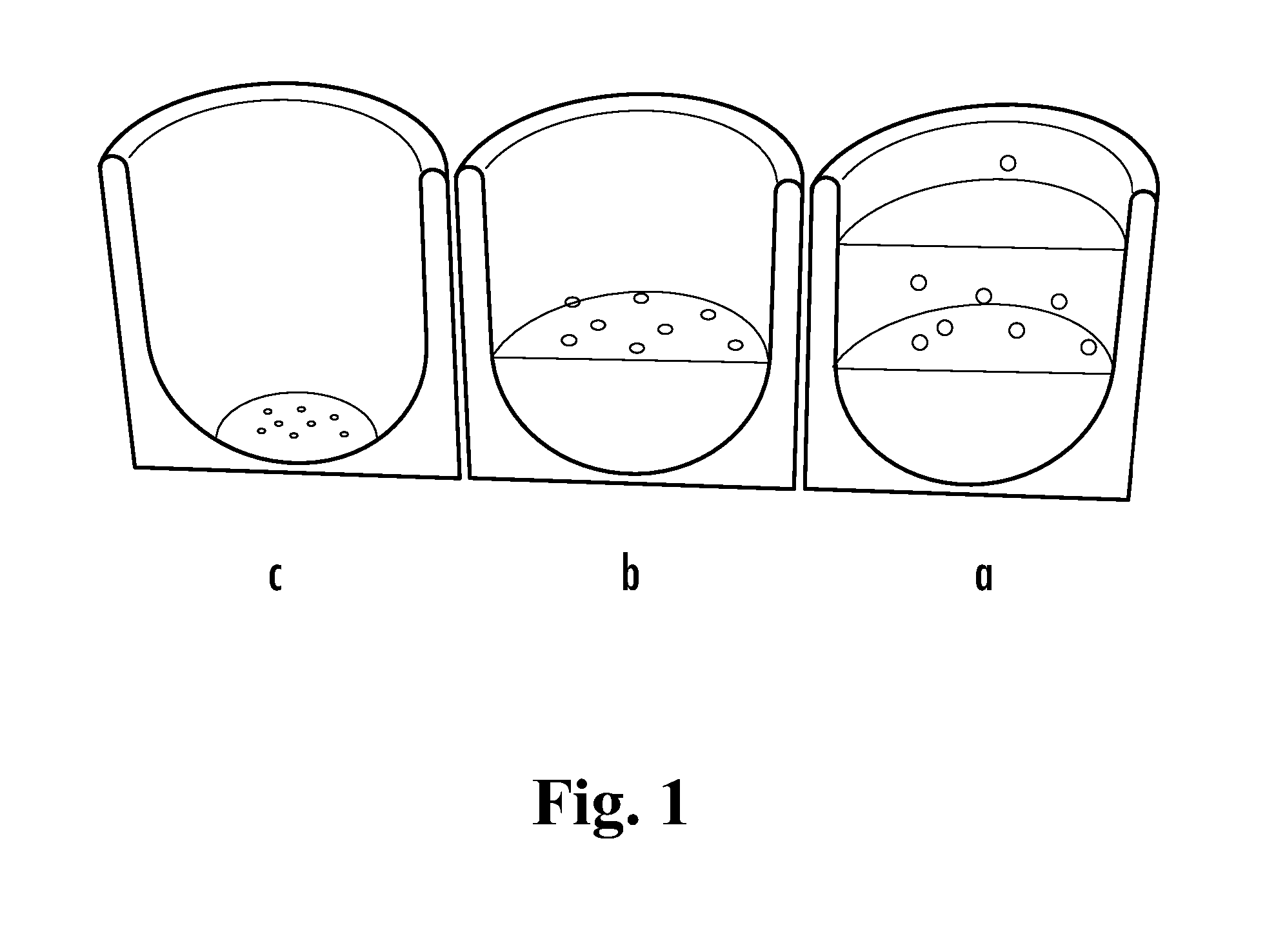 Loadable Polymeric Particles For Enhanced Imaging In Clinical Applications And Methods Of Preparing And Using The Same