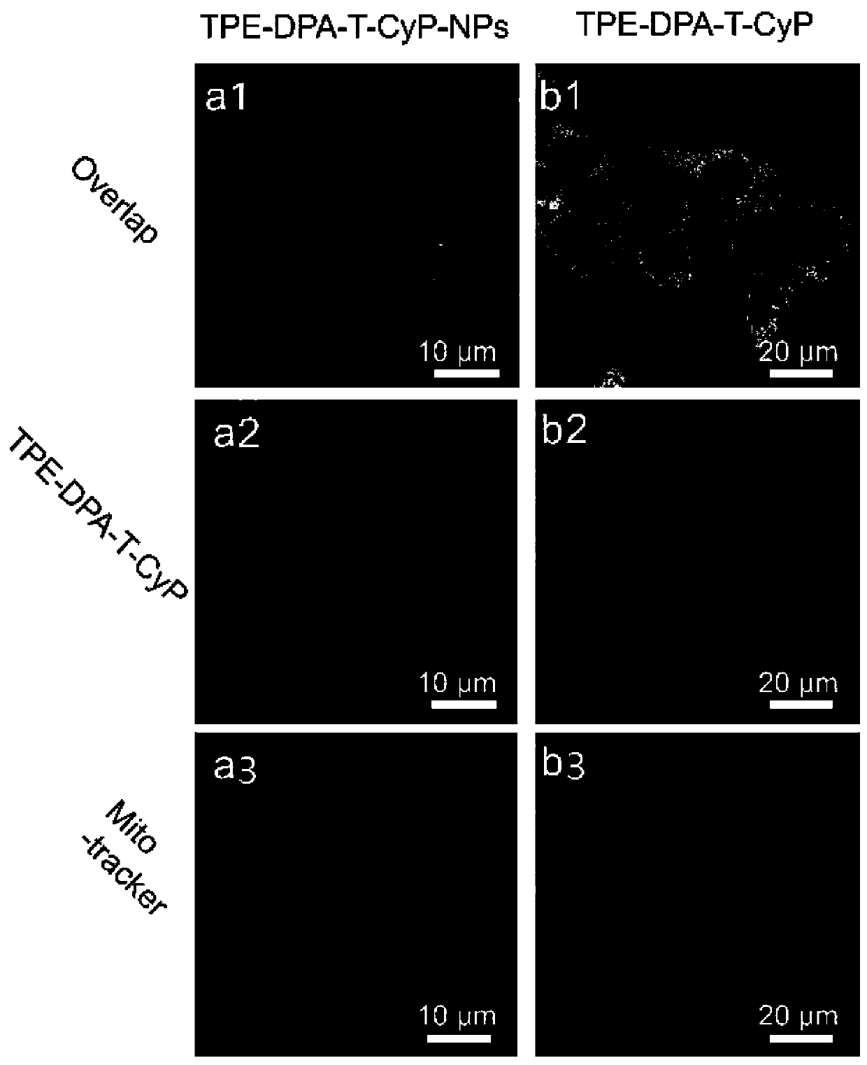 Organic AIE photosensitive probe with mitochondrial targeting and preparation method and application thereof